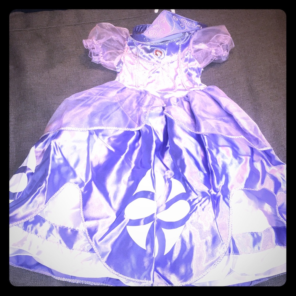 Sofia the First costume 2T